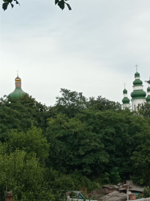 Продам уютный дом в ЦЕНТРЕ ЧЕРНИГОВА.