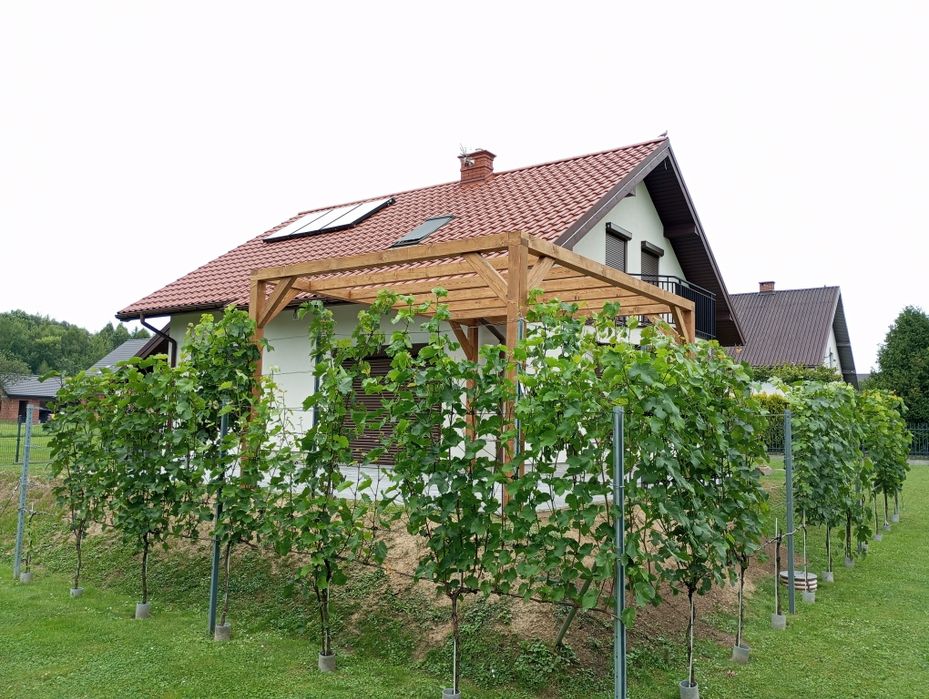 Pergola , altana