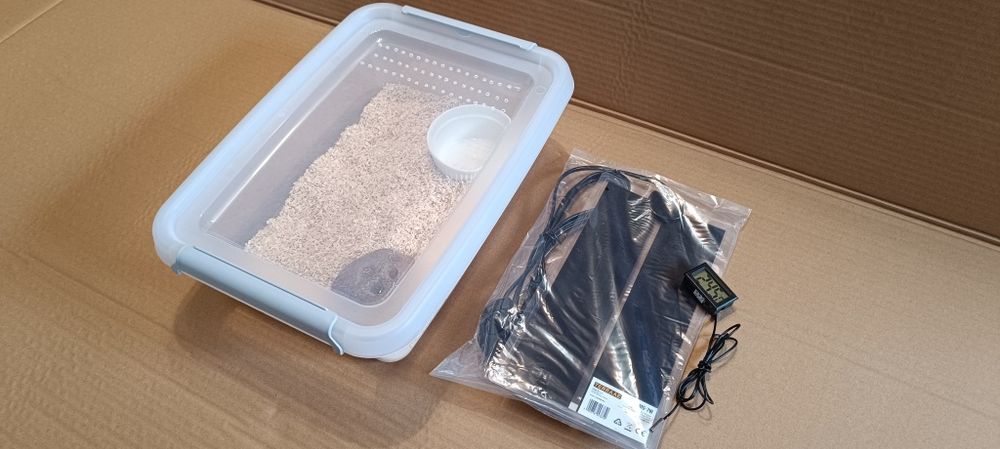 Zestaw dla węża  box