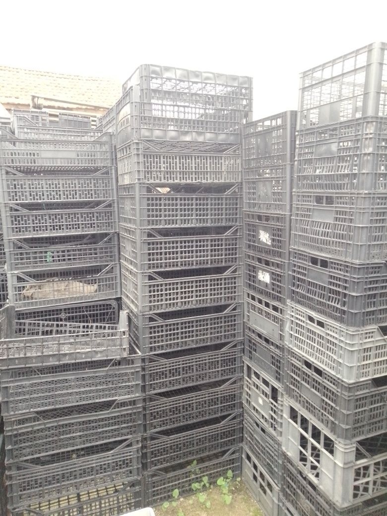Caixas para Horta 750