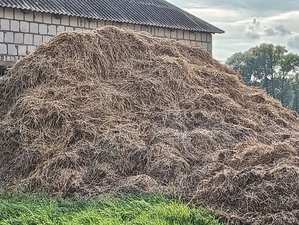 Obornik sprzedam lub zamienię