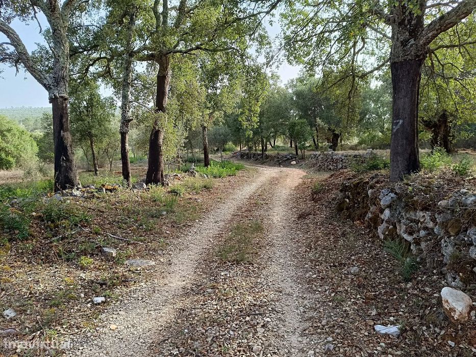 Terreno Rústico – Serra de Aire