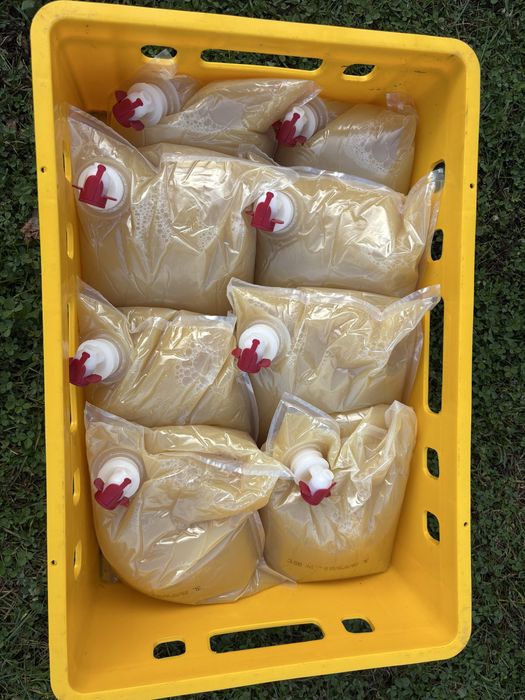 Tłoczone soki z pigwowca