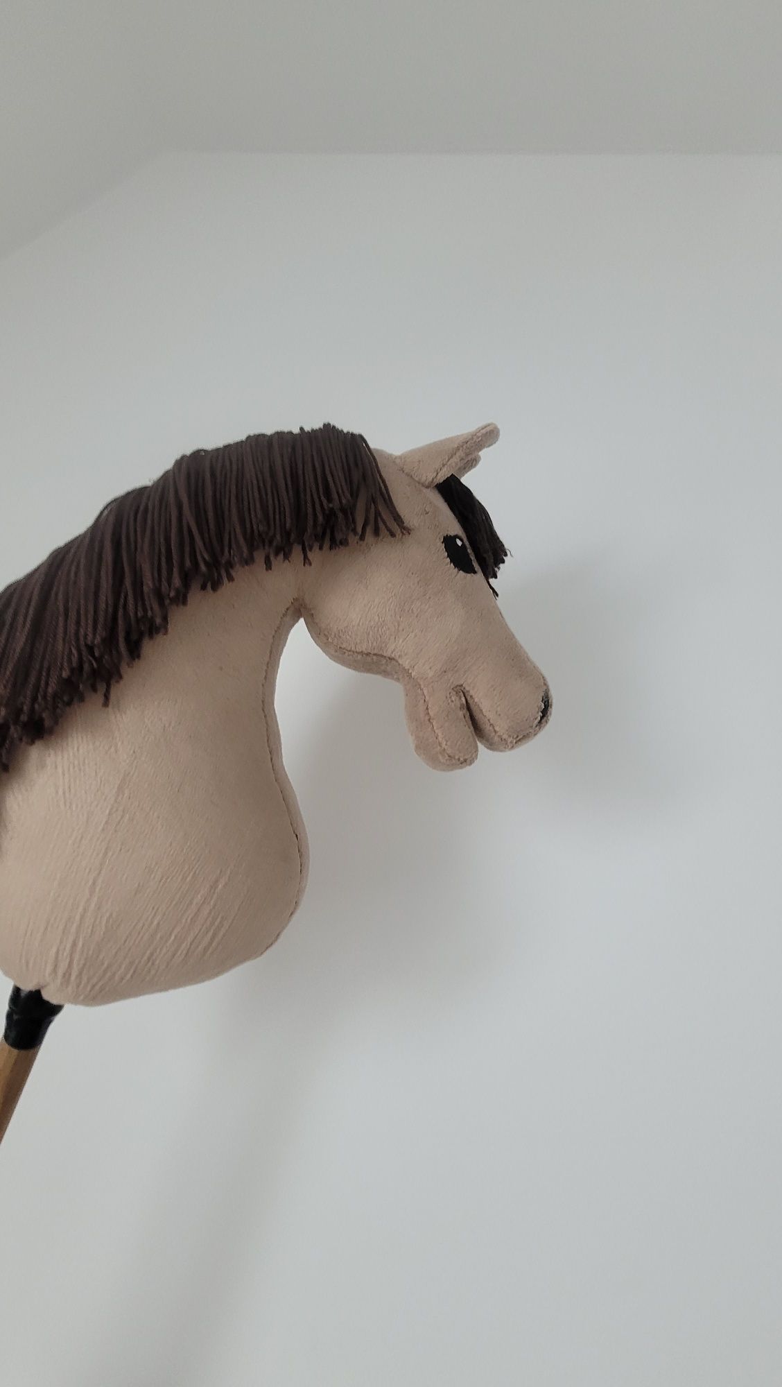 Hobby horse + sprzęt