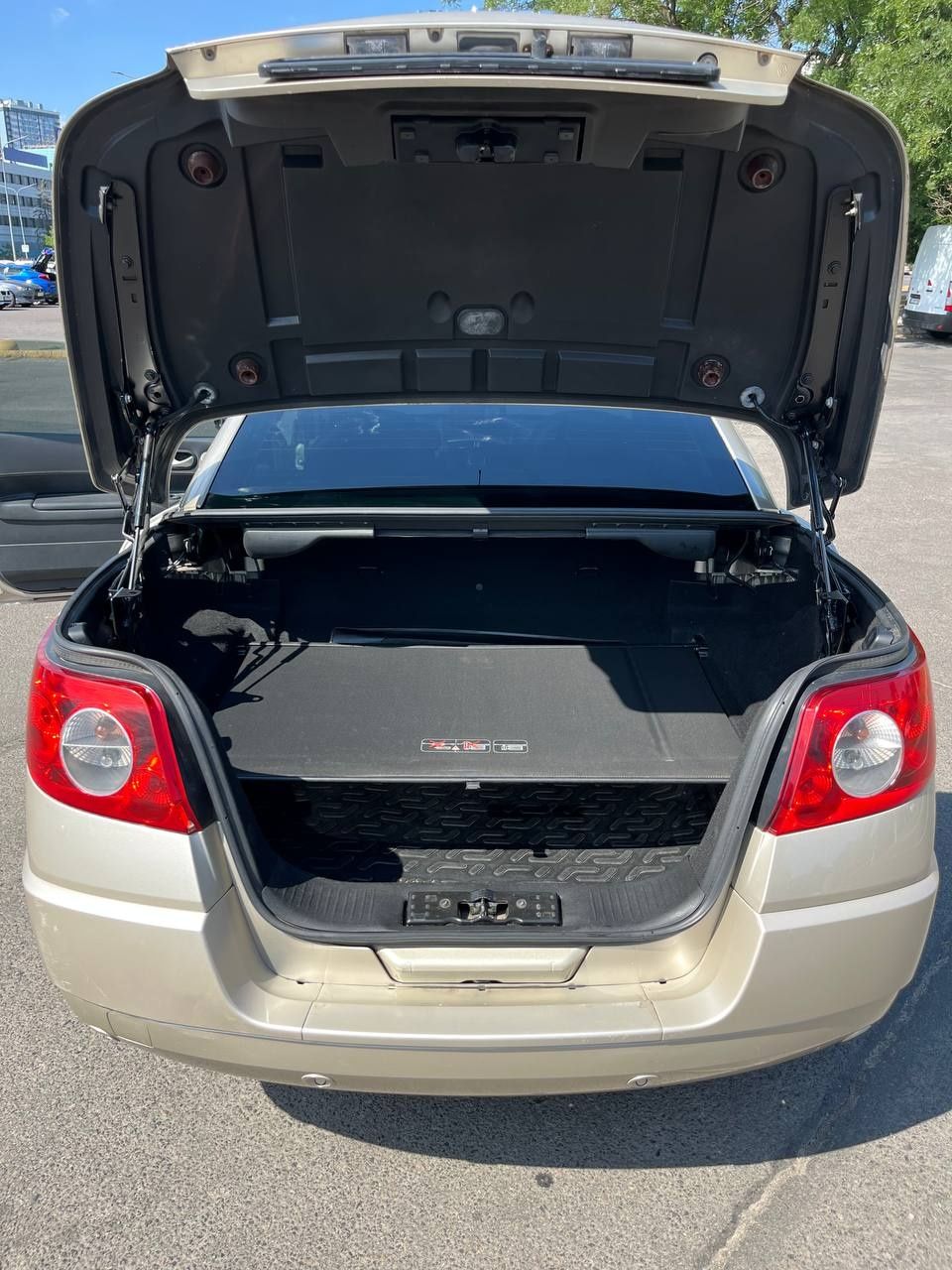 Renault Megane 2 2.0.lpi/benz Cabriolet