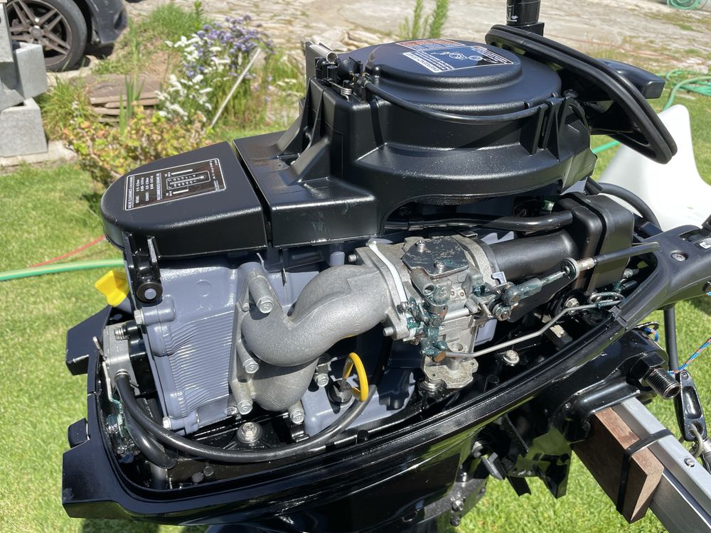 Motor Mercury 9.9