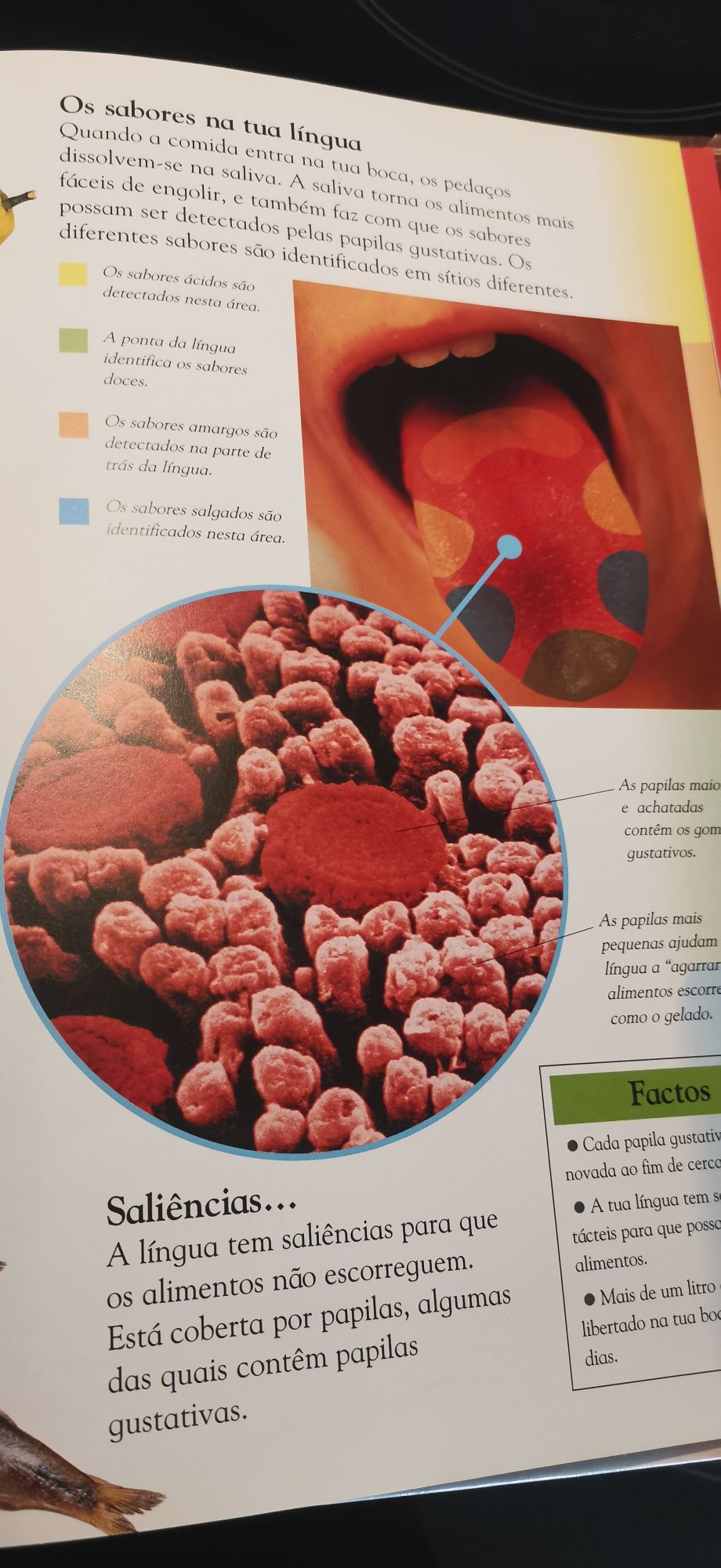 Livro Corpo Humano