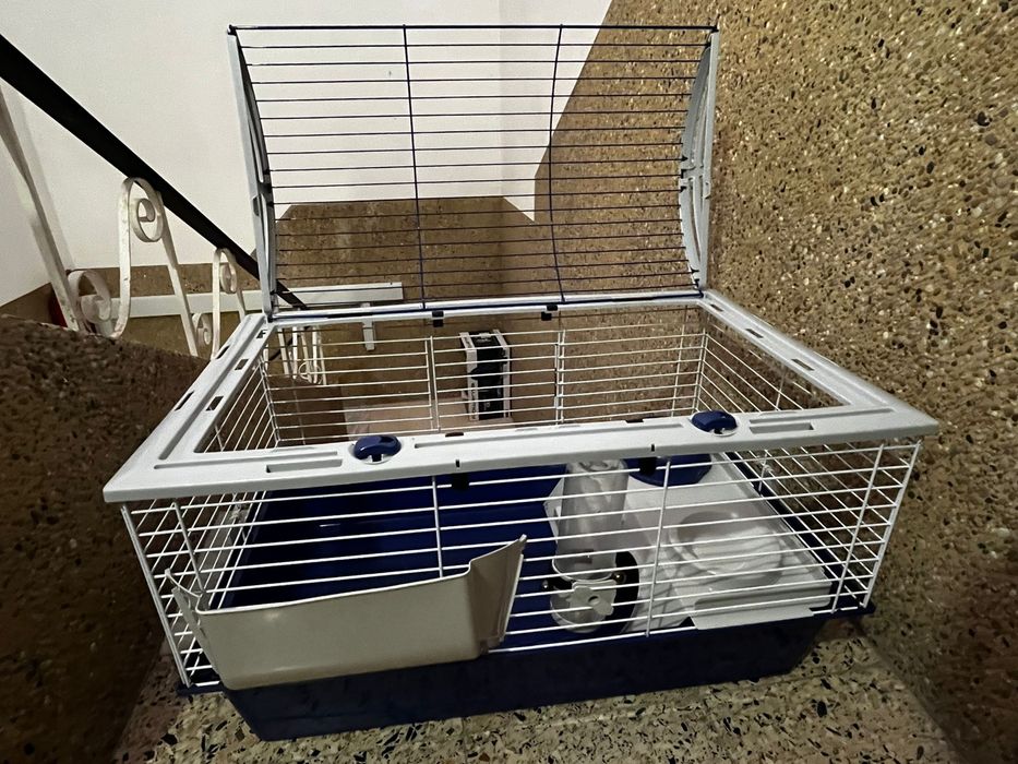 Gaiola porquinho da india