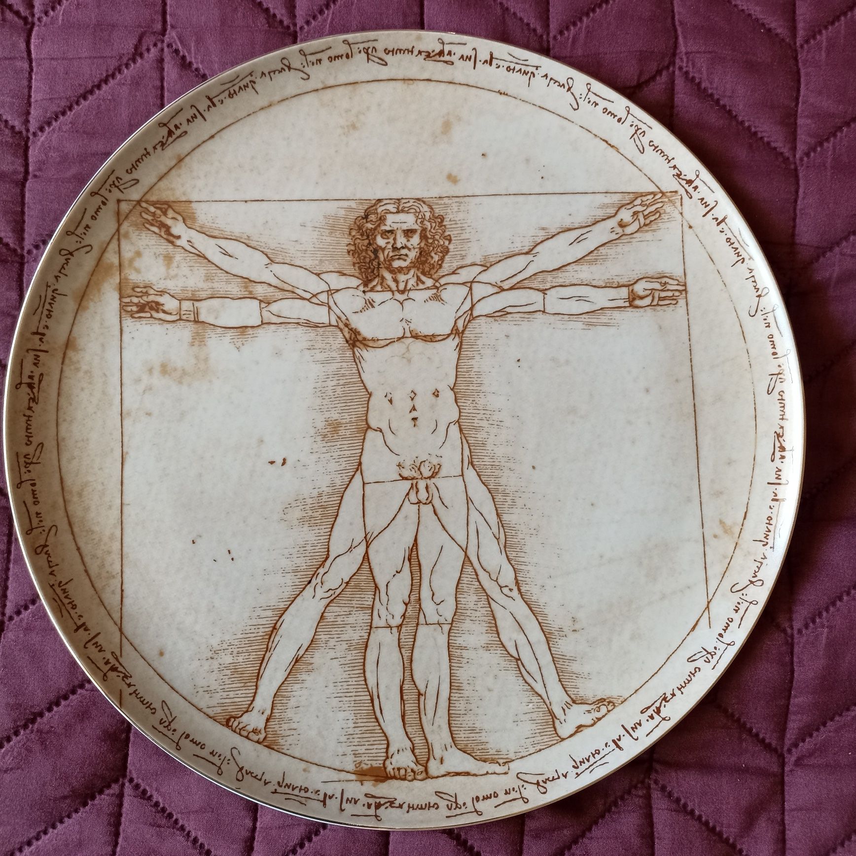 Prato grande SPAL edição limitada Homem Vitruviano Leonardo da Vinci