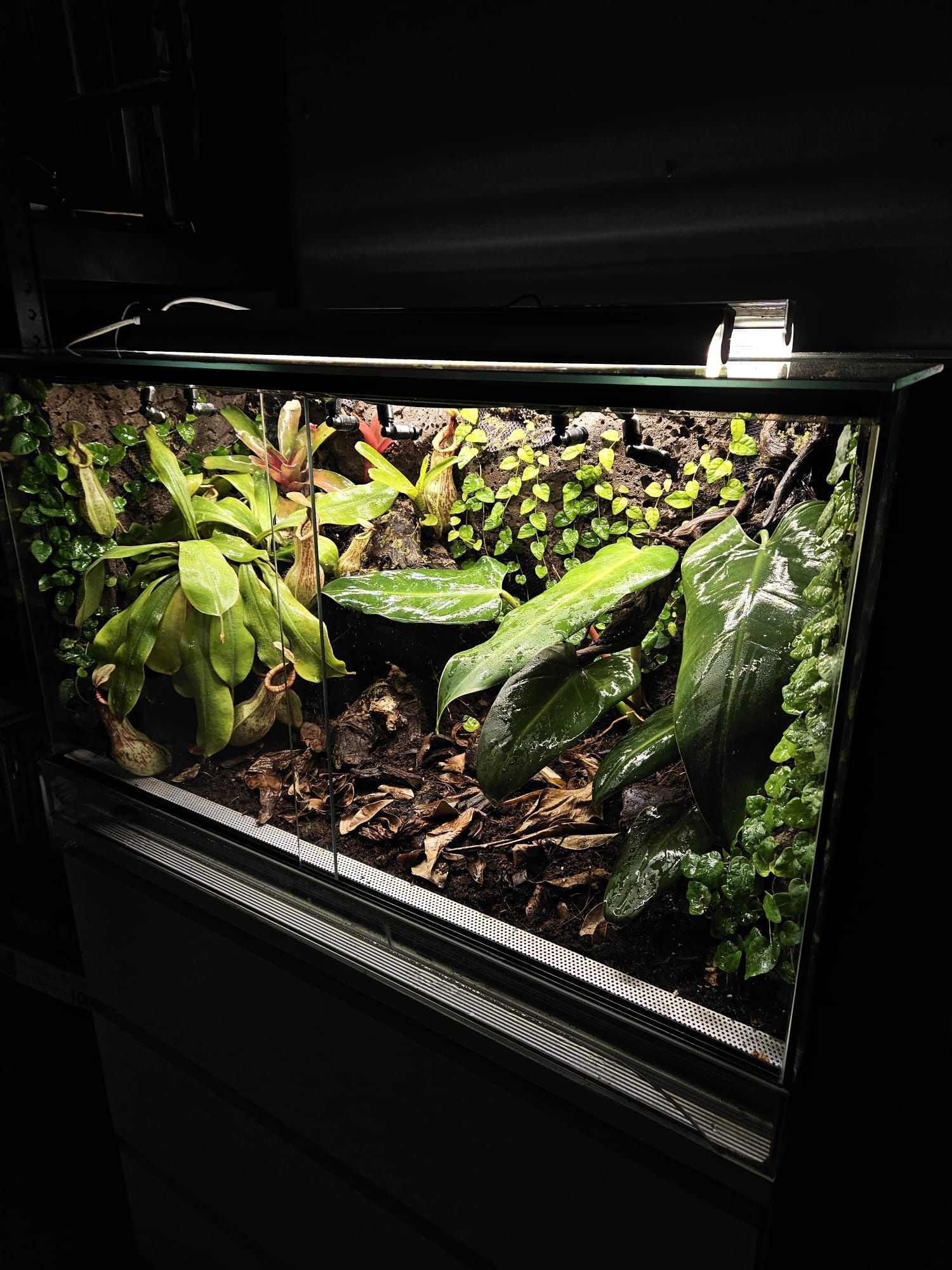 Terrarium tropikalne vivarium 80x50x45