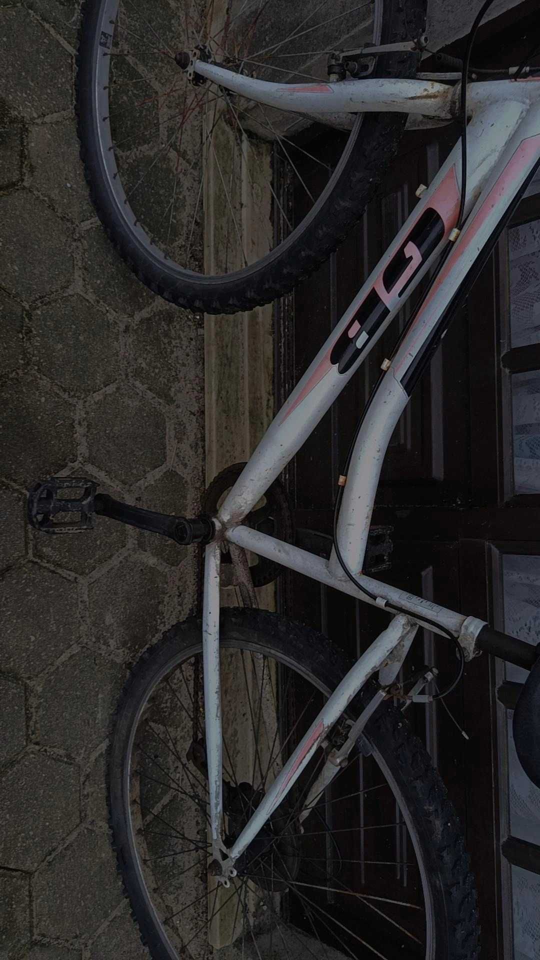Bicicleta feminina