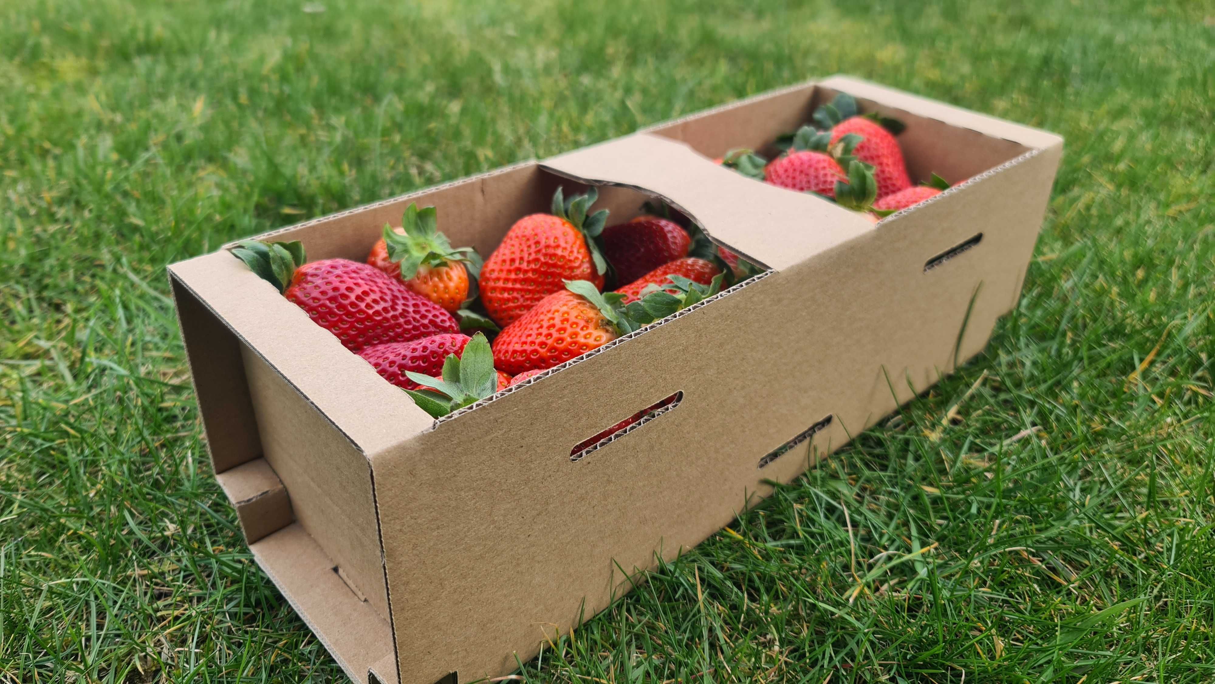 Łubianki Kobiałki tekturowe 2kg HURT-PRODUCENT - DOSTĘPNE "od ręki"