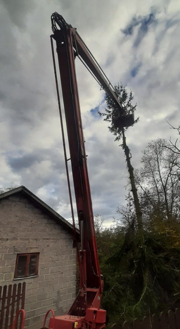 Zwyżka usługi wynajem wycinka drzew podnośnik koszowy