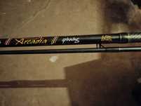 Spining Jaxon Arcadia 2.70m 20-60g