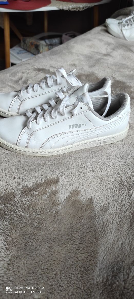 Buty sportowe Puma