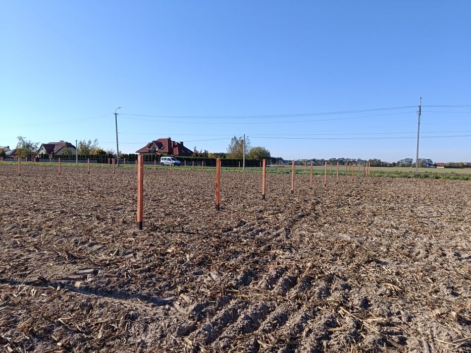 Ogrodzenia tymczasowe słupek betonowy drewniany metalowy  siatka leśna