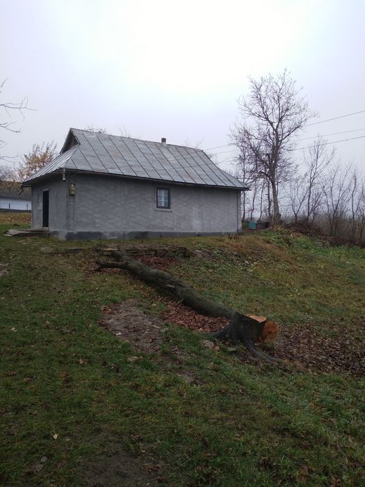 Продам: Будинок в с. Станіславчик