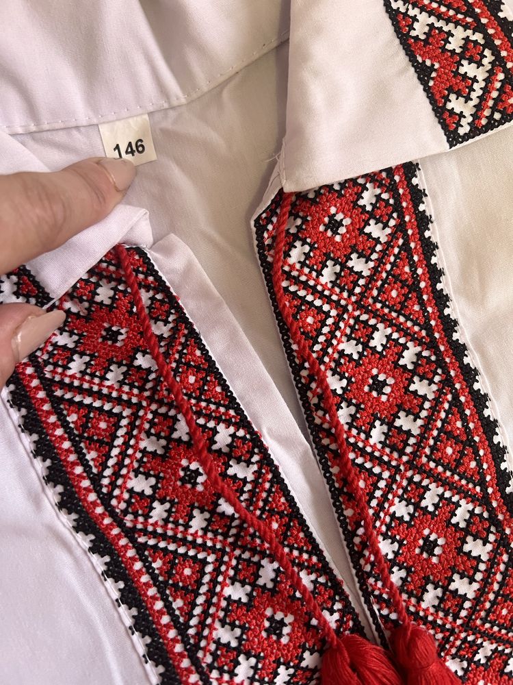 Вишита сорочка для хлопчика.Є охл доставка!