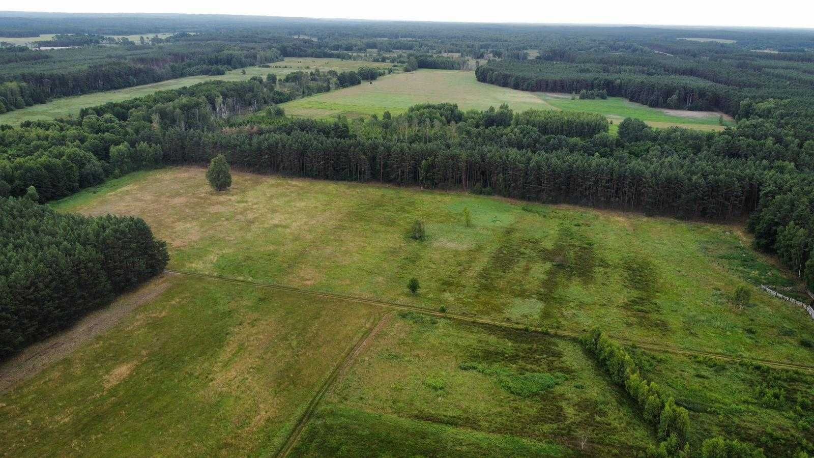 Działka rolna 5,5 ha, w otoczeniu lasu, gmina Bobrowice