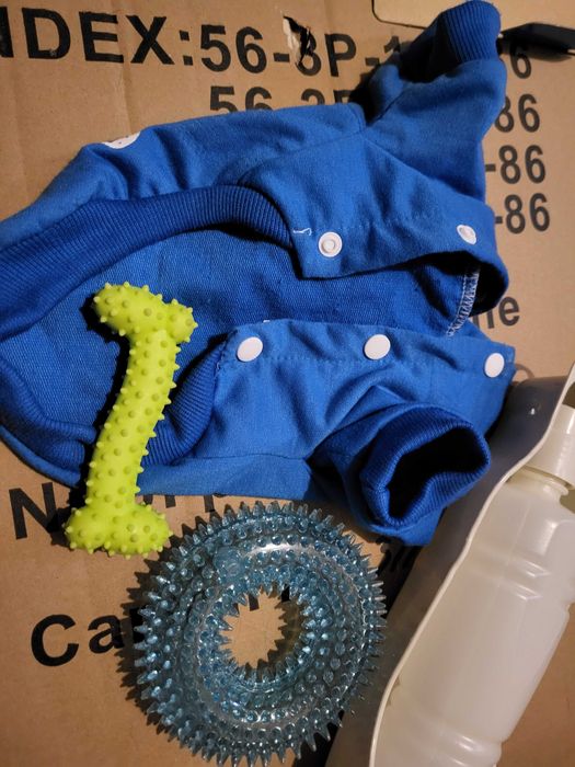 Akcesoria dla małego psa