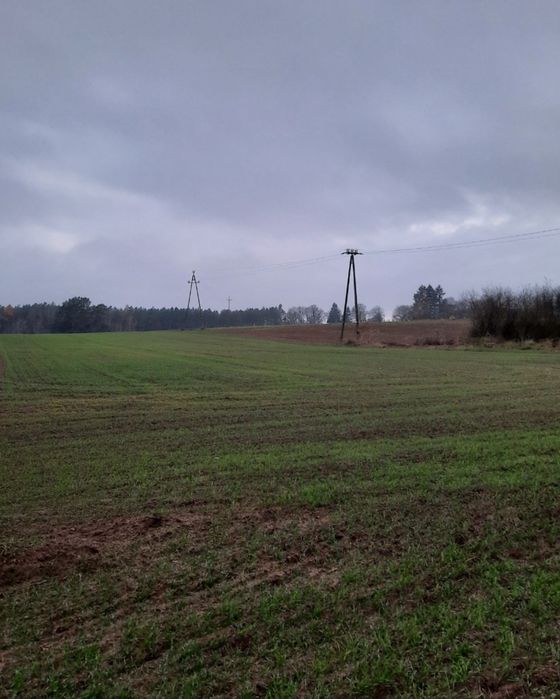 Działka Rolna 9,56ha Dobrzyń koło Gryfic Polecam