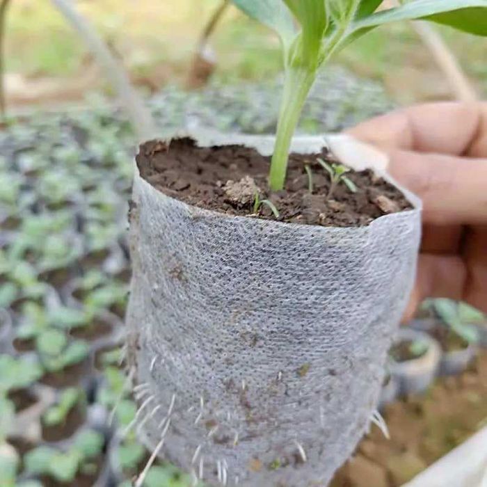 90 bolsas biodegradáveis para plantas