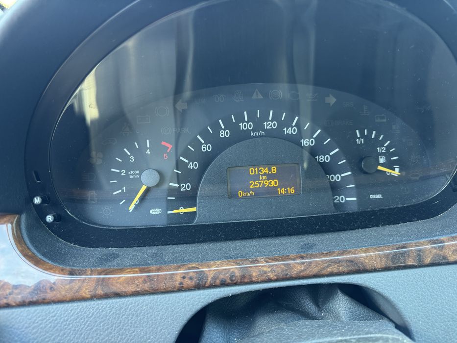 Mercedes Viano NACIONAL 2006