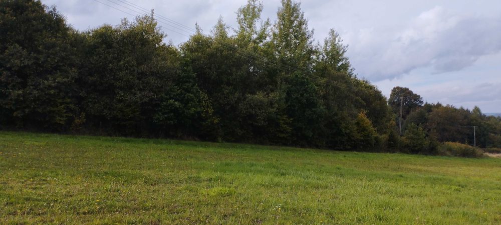 Sprzedam działkę widokową w Gogołowie