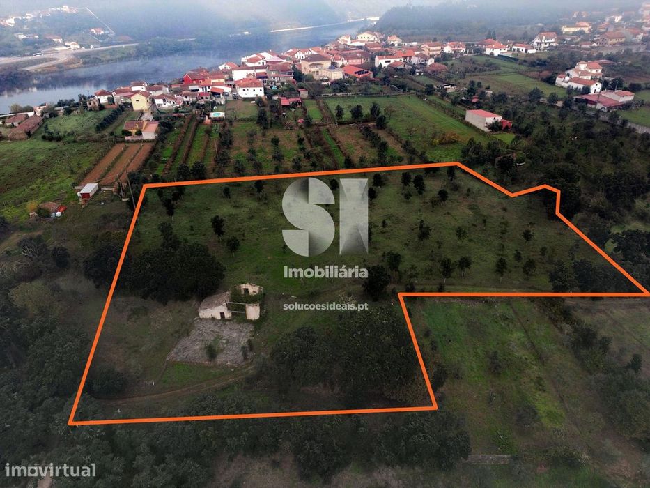 Terreno em O.do Mondego c/Ruina