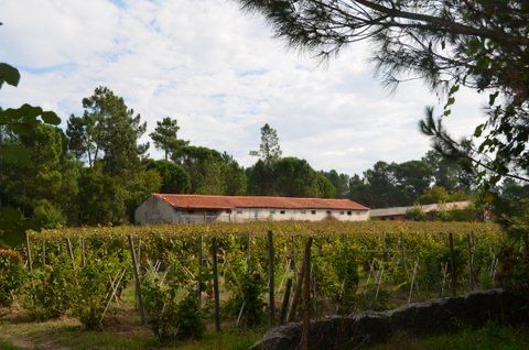 Quinta fantastica em Viseu