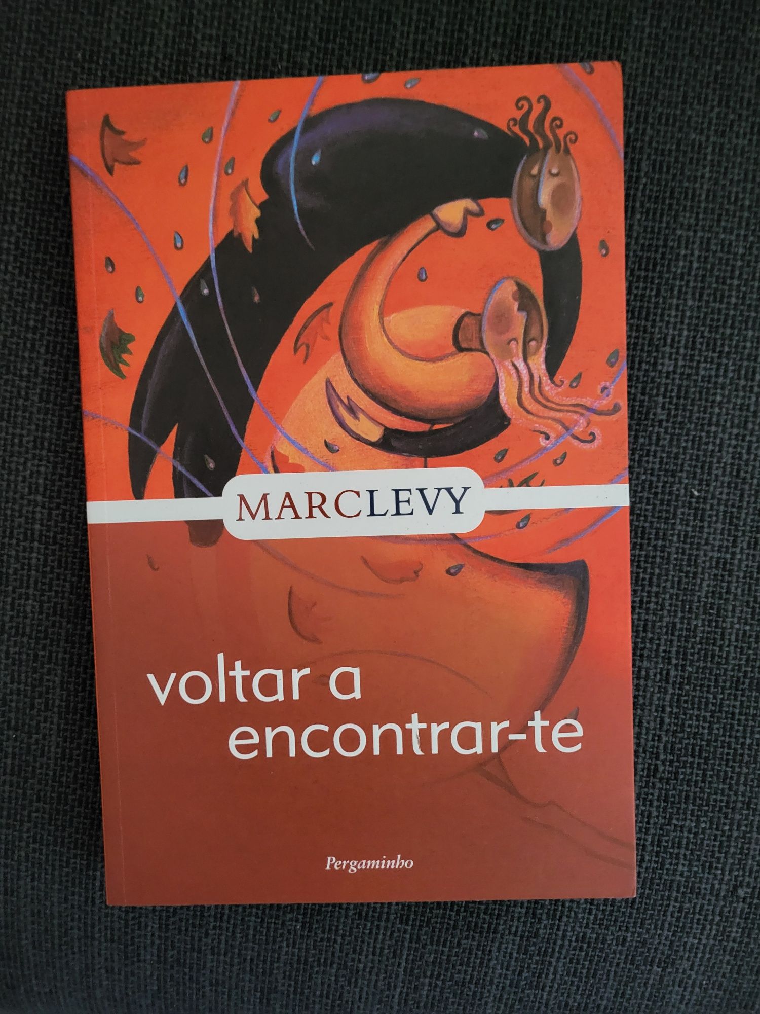 Livro "Voltar a encontrar-te"