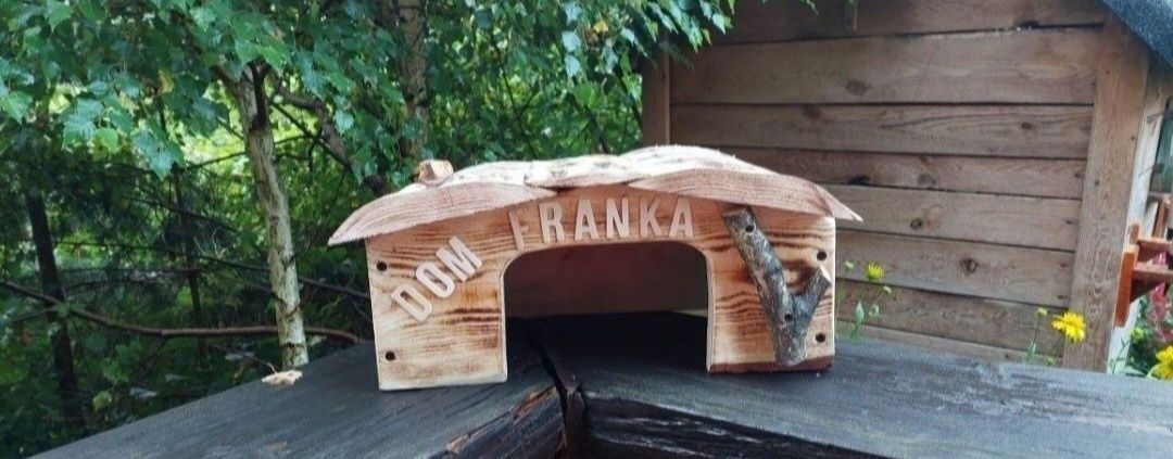 Dom dla żółwia z napisem imieniem.