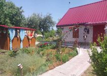 Продається будинок с. Мачухи
