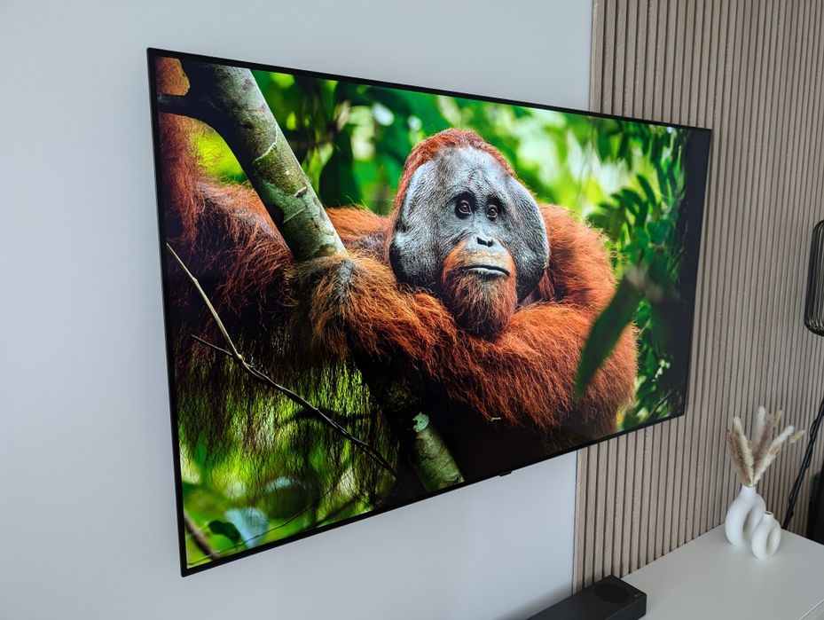 TV LG OLED 65 " - Com garantia e entrega