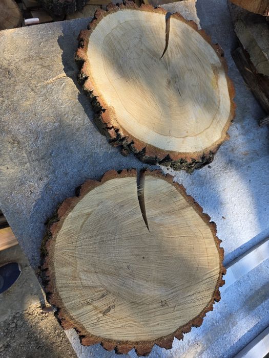 Plastry drewniane dębowe