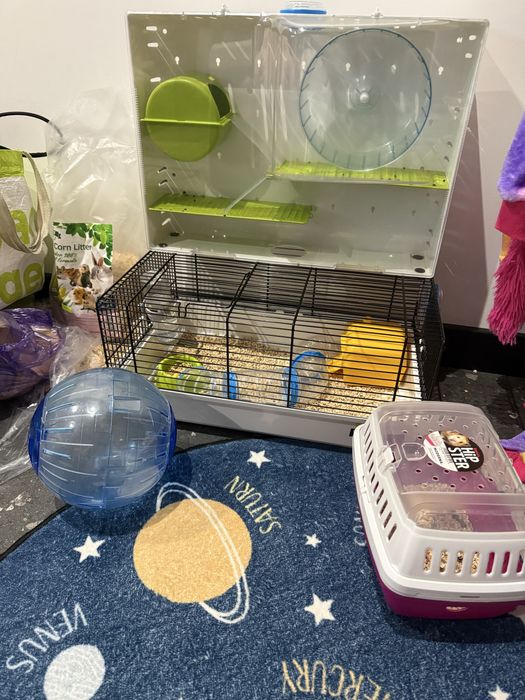 Хомяк з кліткою, шар для хомяка, клітка для гризунів