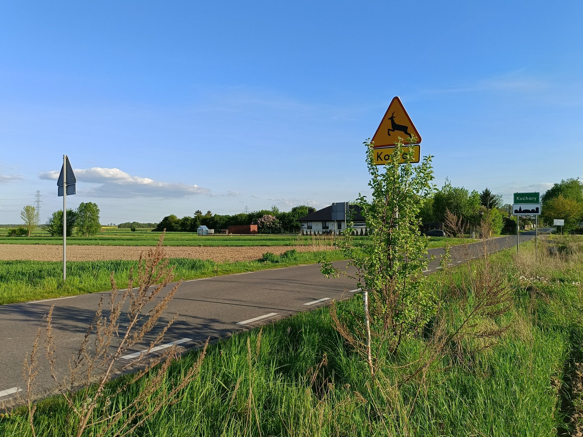 Działka budowlana  1000m2, Kuchary(nr 127/4)