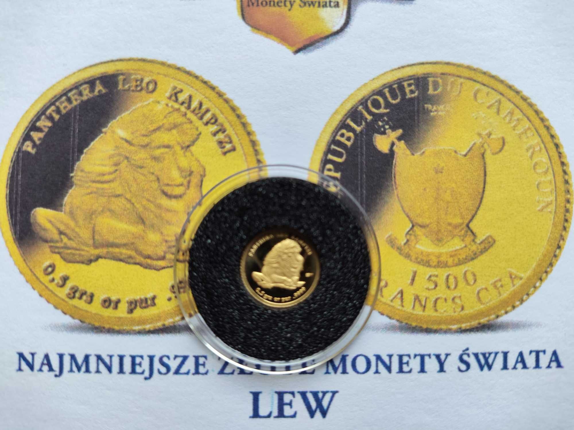 Najmniejsze...2011- Lew