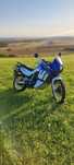 Honda Transalp Honda Transalp 600V