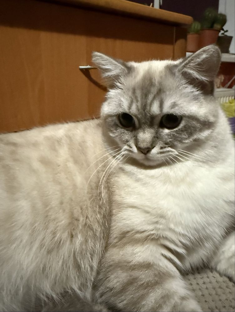 Запршуємо на вʼязку