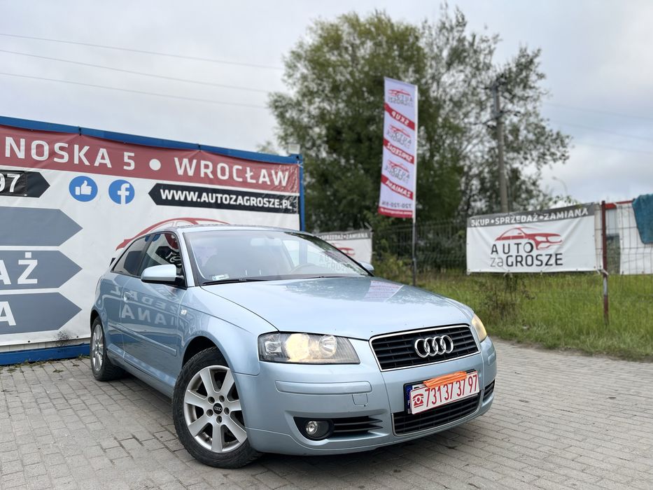 Audi A3 8p 1.9 TDI//Alufelgi//Klima//Alufelgi//Grzane fotele//Zamiana