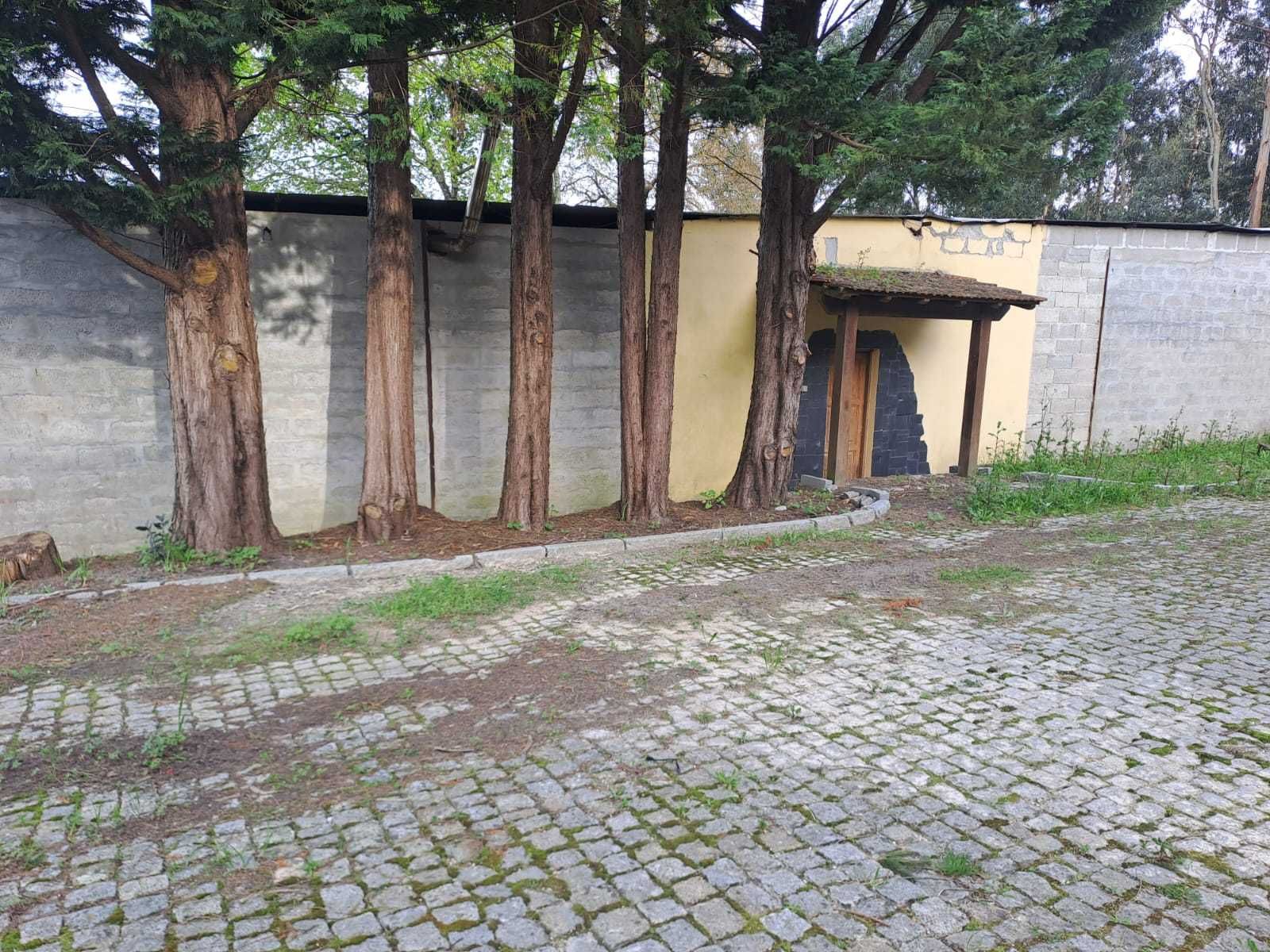 Quinta com 9.000m e ruína junto ao Mózinho em Penafiel