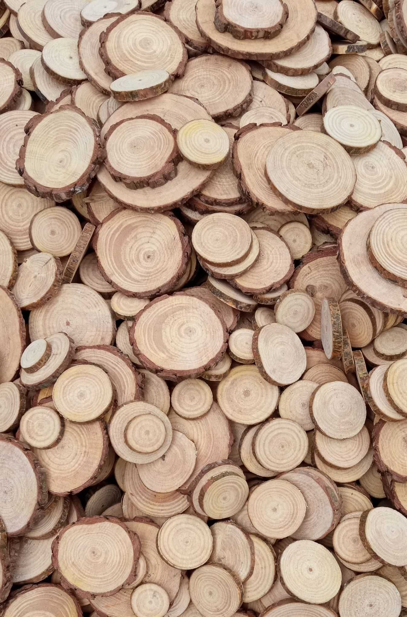 Plastry drewna ,500sztuk, 2-10cm, krążki drewniane, dekoracje, wysyłka