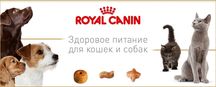 Корм Роял Канин Royal Canin. Акции, Скидки, Бонусы...Бесплатная достав