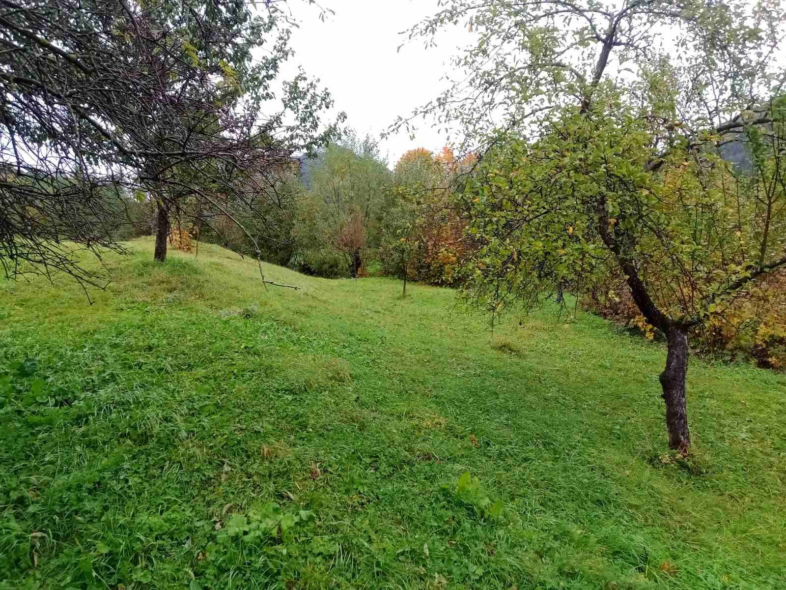 Будинок біля річки в с .Синевир Закарпаття