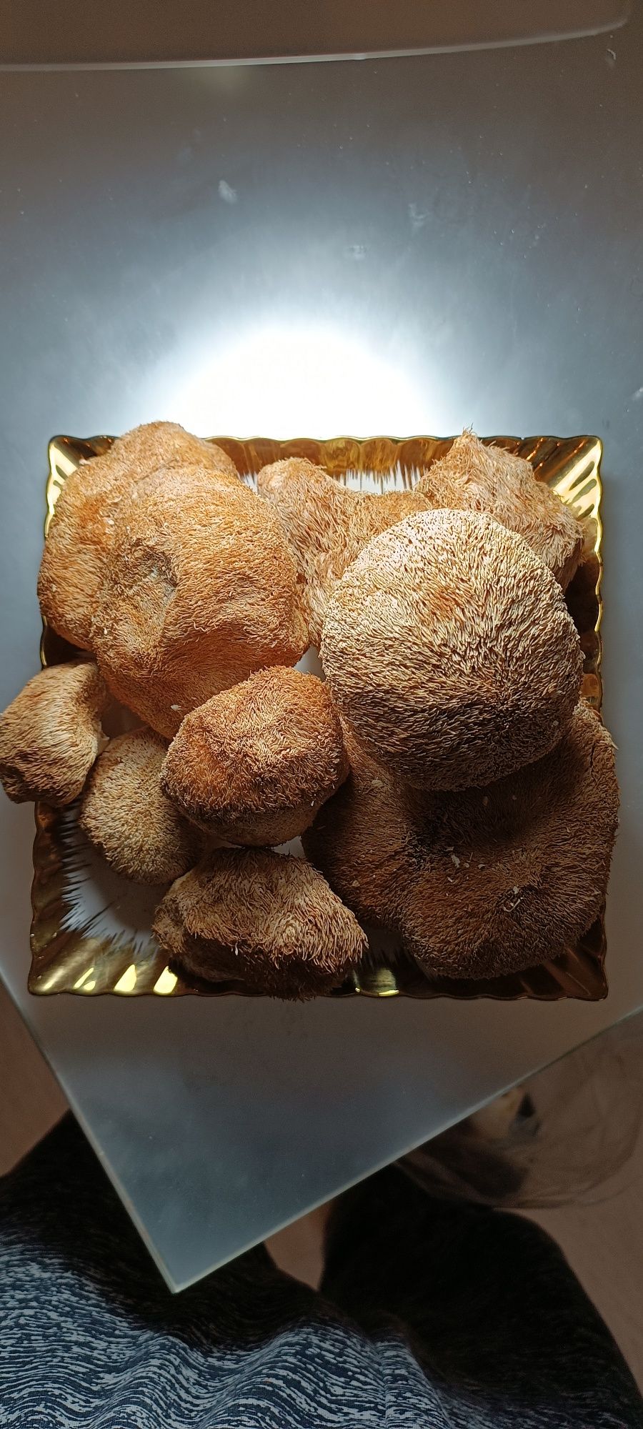 Їжовик гребінчастий  1кг. Найнижча ціна