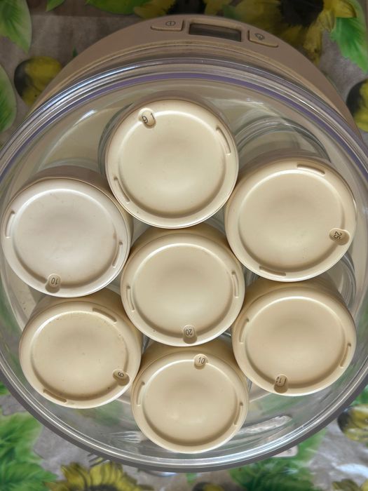 Йогуртница Мулинекс