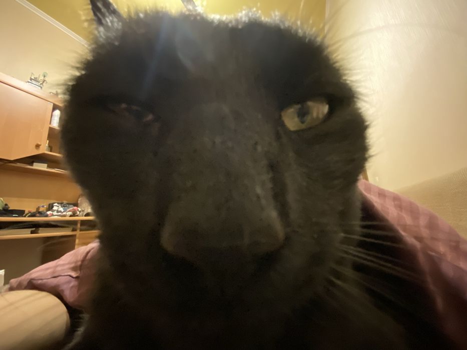 Абонемент Спортлайф Борщагівка