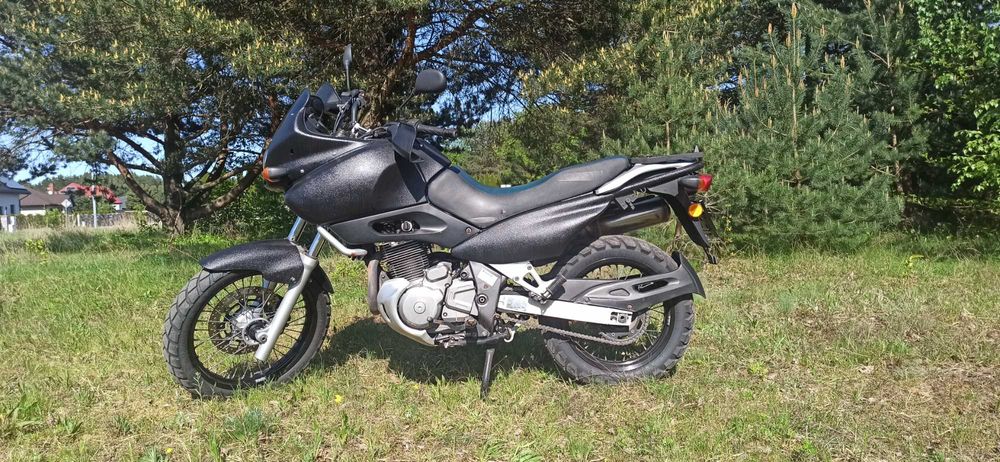 Suzuki xf 650 freewind