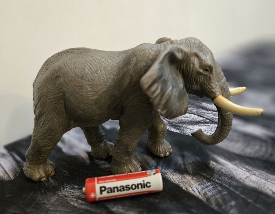 Figurka Słoń Afrykański Schleich